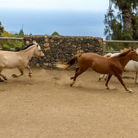 Riendas Vivas La Guancha エクステリア 写真