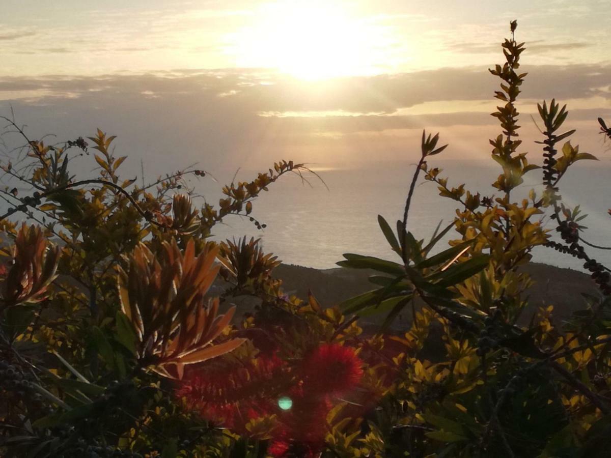Riendas Vivas La Guancha エクステリア 写真