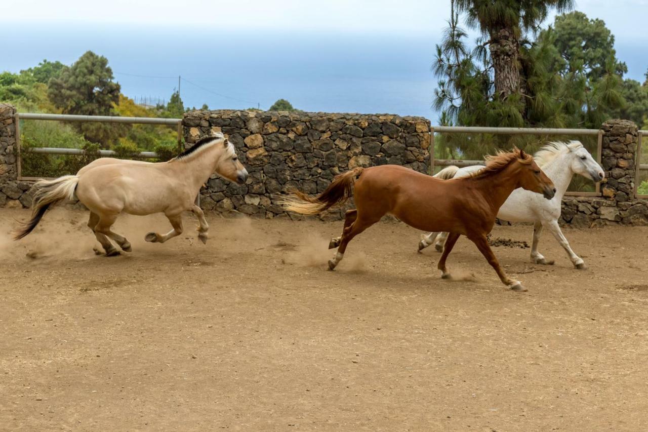 Riendas Vivas La Guancha エクステリア 写真